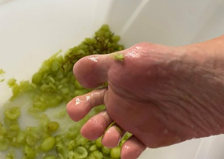 lady dior 31 kostenlose schöne foto