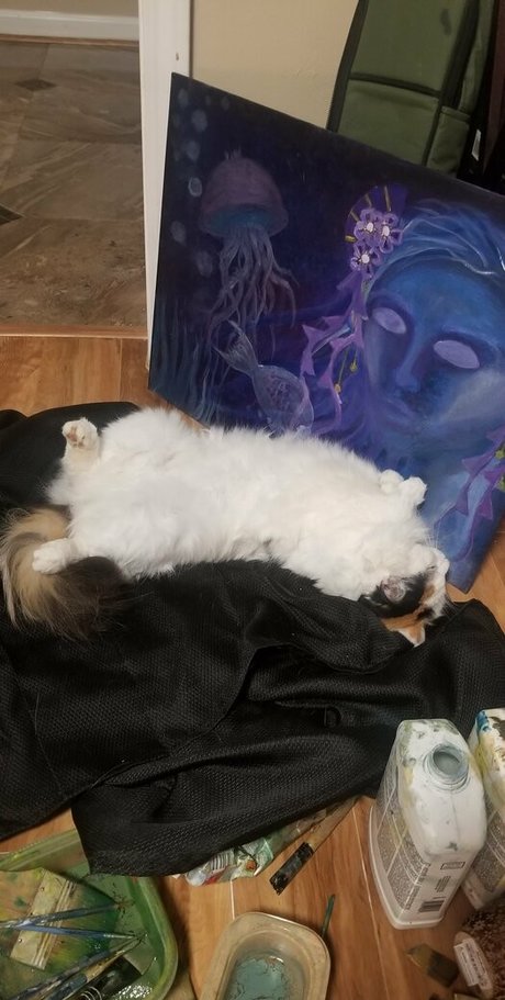 empressming freie xxx fotos