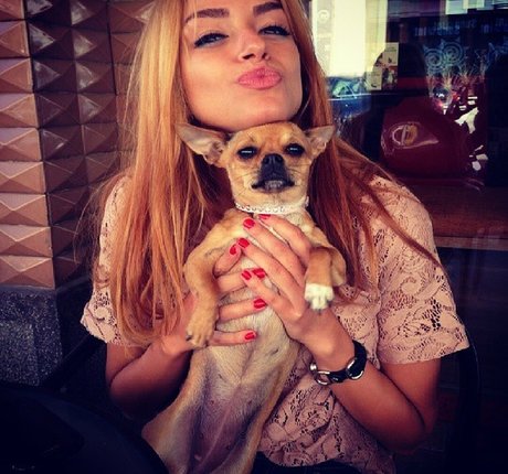 shemale-onlyfans xxx hübsche archiv