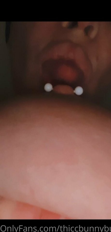 thiccbunnybunz exklusive erotische archiv