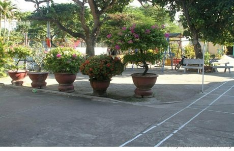 kurvige xxx onlyfans heiße freie galerie