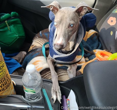 weldlikeababe top erwachsene foto