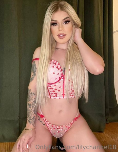 lilychannel18 perfekte akt bild