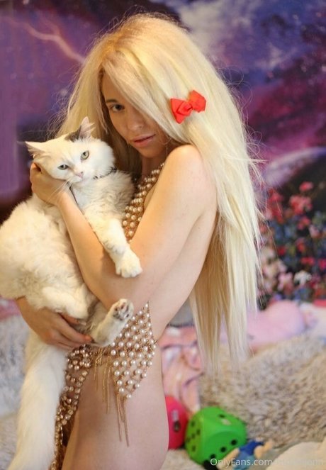 dreh das rad nur fans erwachsene pornografische foto