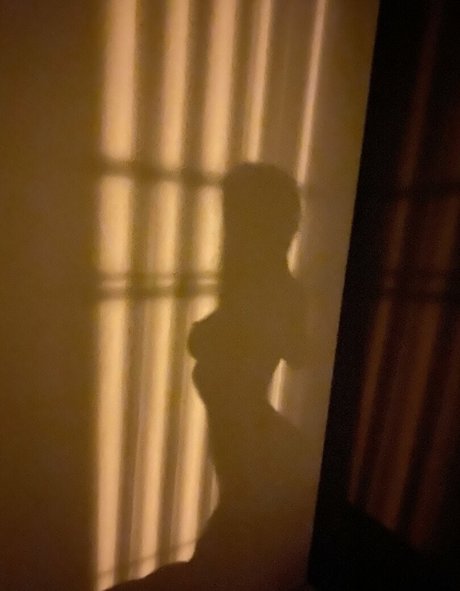 Sasha Shenderey kunst erwachsene archiv