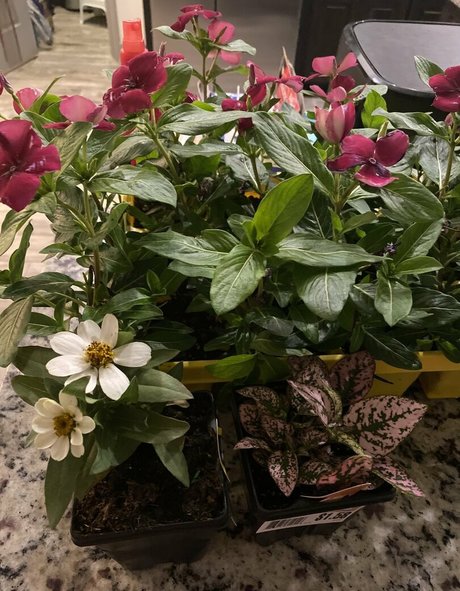 leggings onlyfans porno xxx archiv