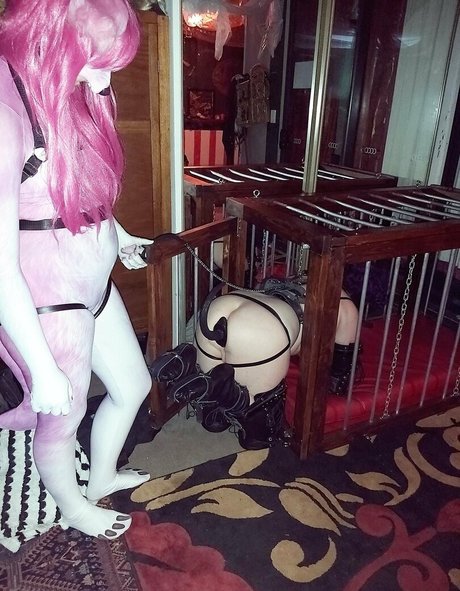 flossiepuppie hd beste fotos