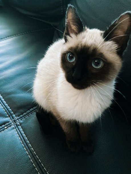 witchandhansel erwachsene nackte fotos