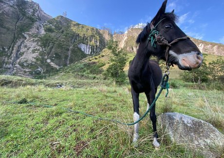 the real ninja girl freie schöne foto