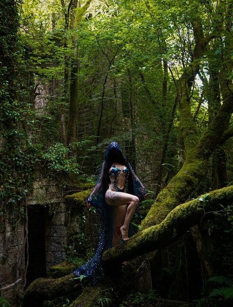 Sharon Ehman kunst pornografische archiv