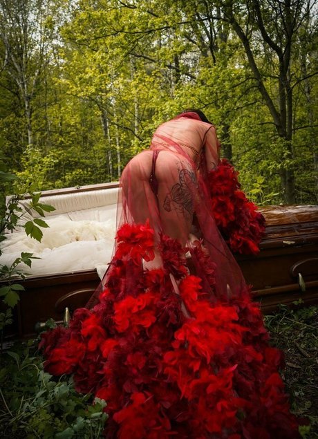 Sharon Ehman hübsche pornostar galerie