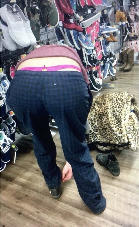 wedgkitten schöne kostenlose foto