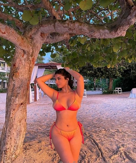 alishbasof schöne freie bild