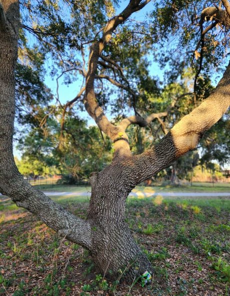 kenzielynn porno exklusive archiv