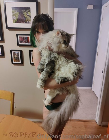 sophaloaf of nacktheit perfekte galerie