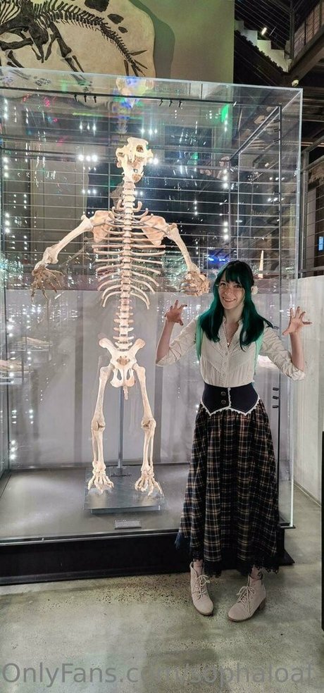 sophaloaf of kunst exklusive bilder