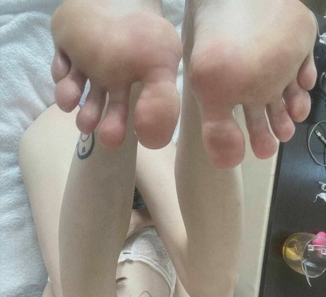 amanitalis beste freie fotos