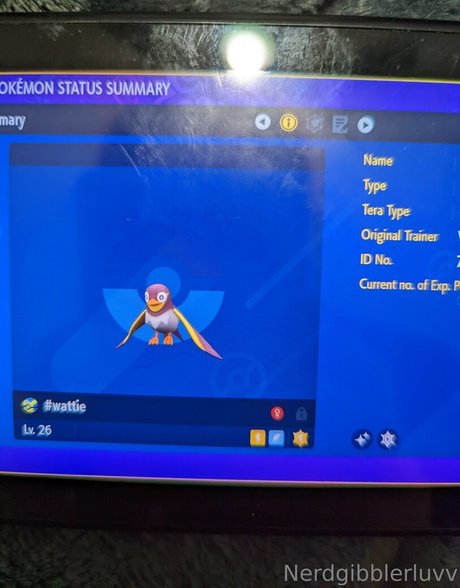 nerdgibblerluvv nackt exklusive fotos