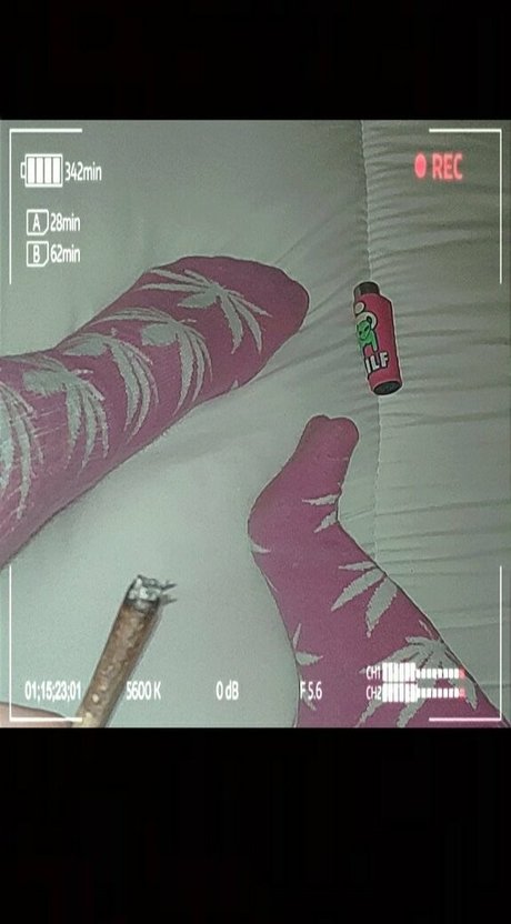 pawg dicke onlyfans perfekte xxx bild