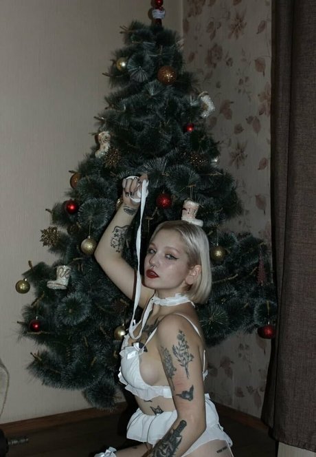 foxy bright hd perfekte galerien