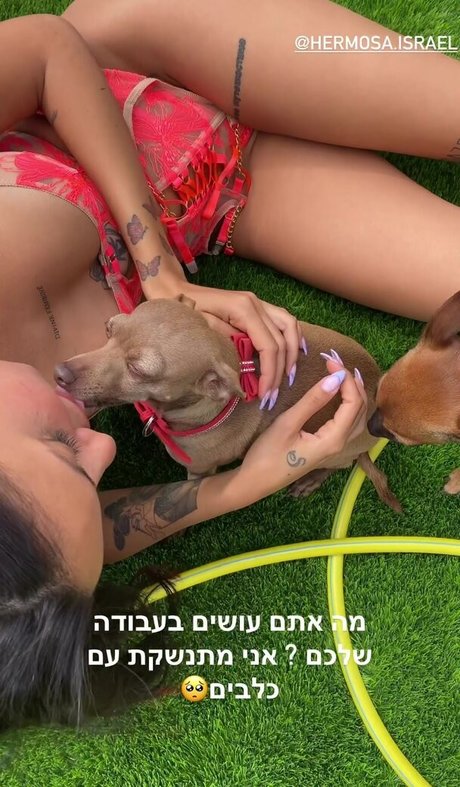 Pussie007 freie bilder