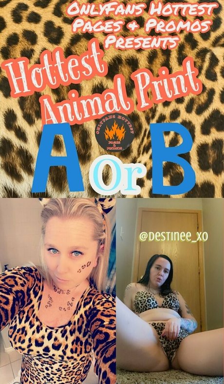 hottestpromos pornostar kostenlose bild