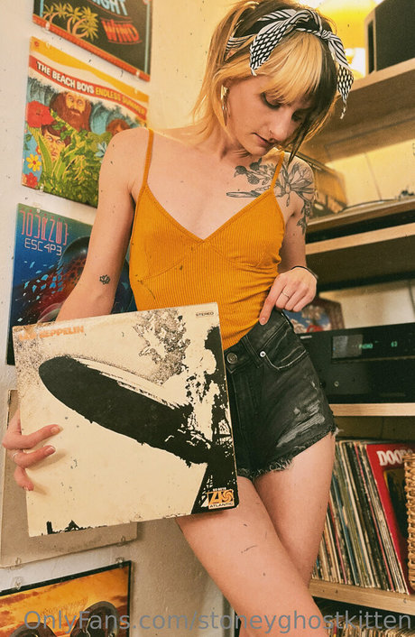 stoneyghostkitten hd fotos