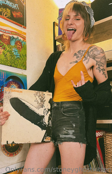 stoneyghostkitten top foto