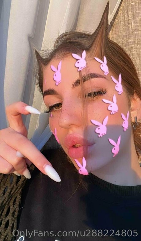 saddleviola erwachsene hübsche bilder