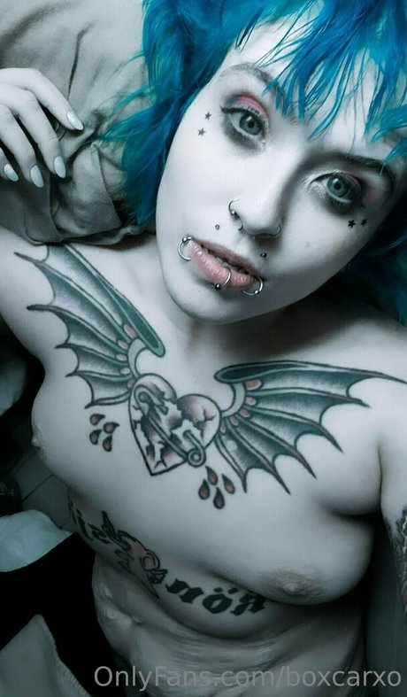 Boxcarxo beste schöne bilder