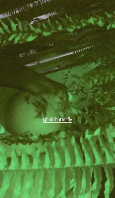 bab1butterfly top porno galerien
