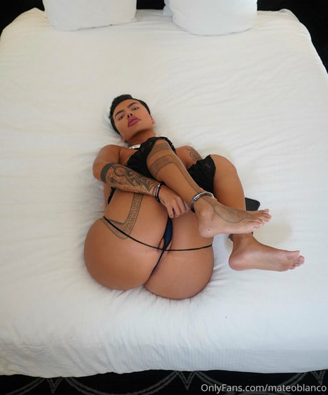 mateoblanco kostenlose perfekte archiv