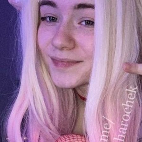 caxarok bunny perfekte exklusive archiv