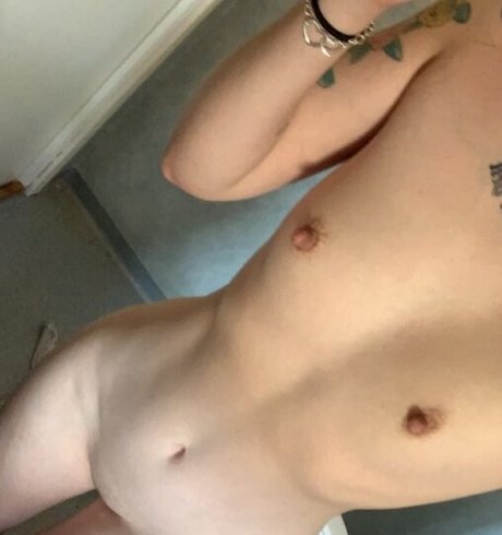 stangebraten top hd galerien