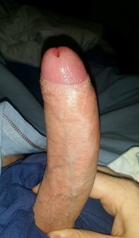 thickshake hd top archiv