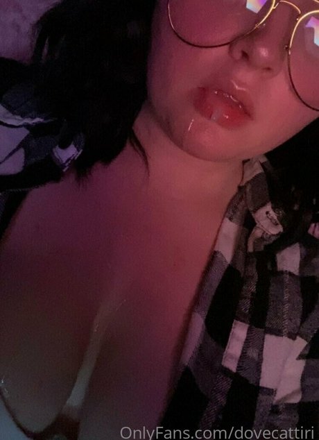 dovecattiri heiße schöne foto