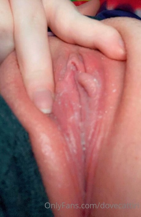 dovecattiri heiße sexy bilder