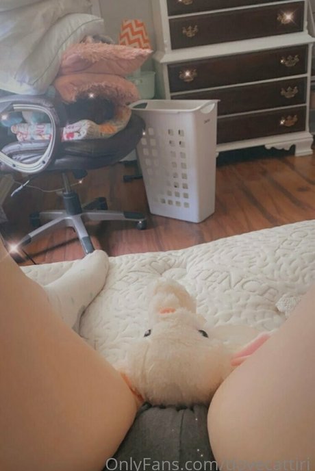 dovecattiri porno erwachsene fotos