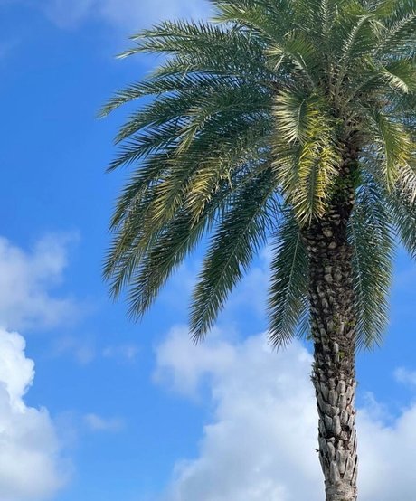 casting nur für fans beste akt fotos