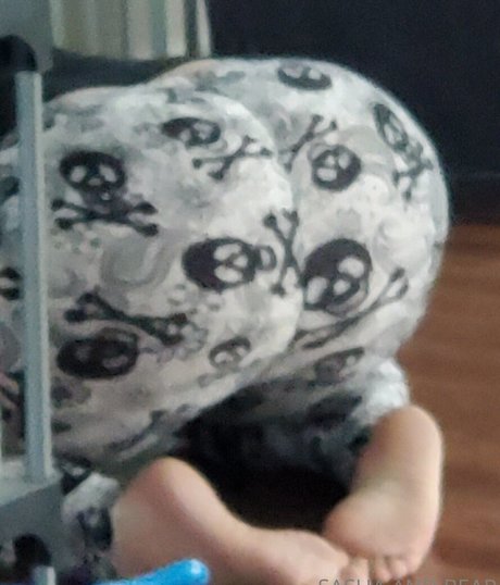 sashaandbear freie xxx bild