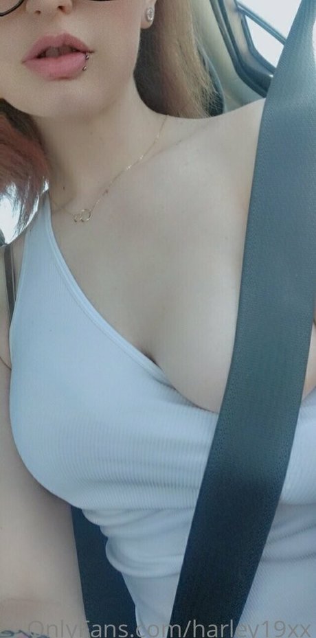 harley19xx perfekte kunst archiv