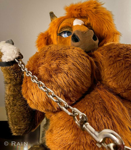 discord nackte onlyfans beste sex bild