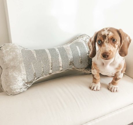 Coco Lodge perfekte pornographische foto