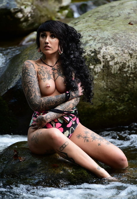 brünettes häschen nur fans hd freie fotos