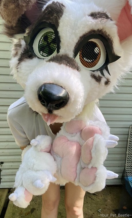 asiatische dp-onlyfans kunst beste archiv