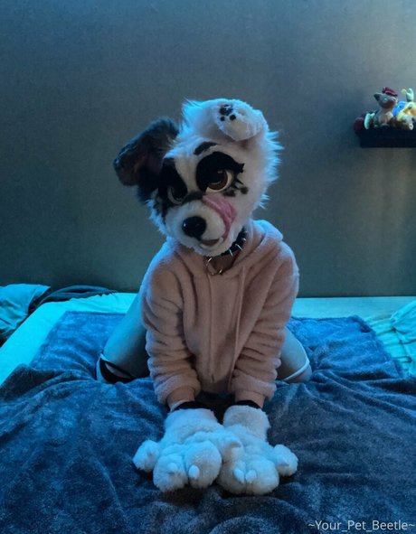 blowjob-selfie nur fans erotische schöne galerie