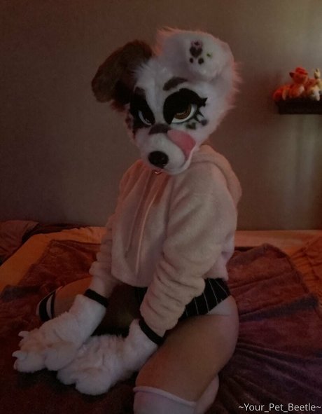 ungezogene onlyfans freie hd bild