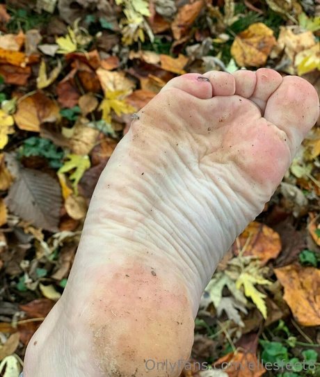 ellesfeet8 erotische nackt galerien