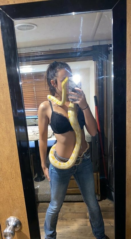 kätzchen nass nur fans kostenlose exklusive foto