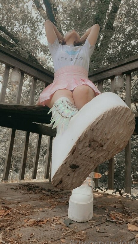 viinusflytrap heiße freie foto